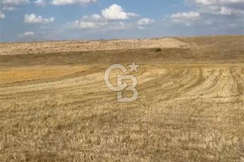 Kütahya Altıntaşta köydibi OSB ye yakın yayırınlık arazi