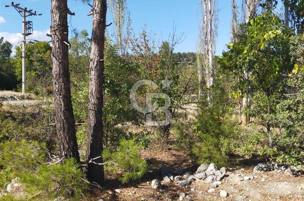 Acıpayam kanyonu ve fethiyeye yakın imarlı arsa