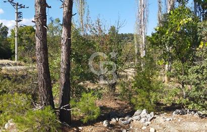 Acıpayam kanyonu ve fethiyeye yakın imarlı arsa