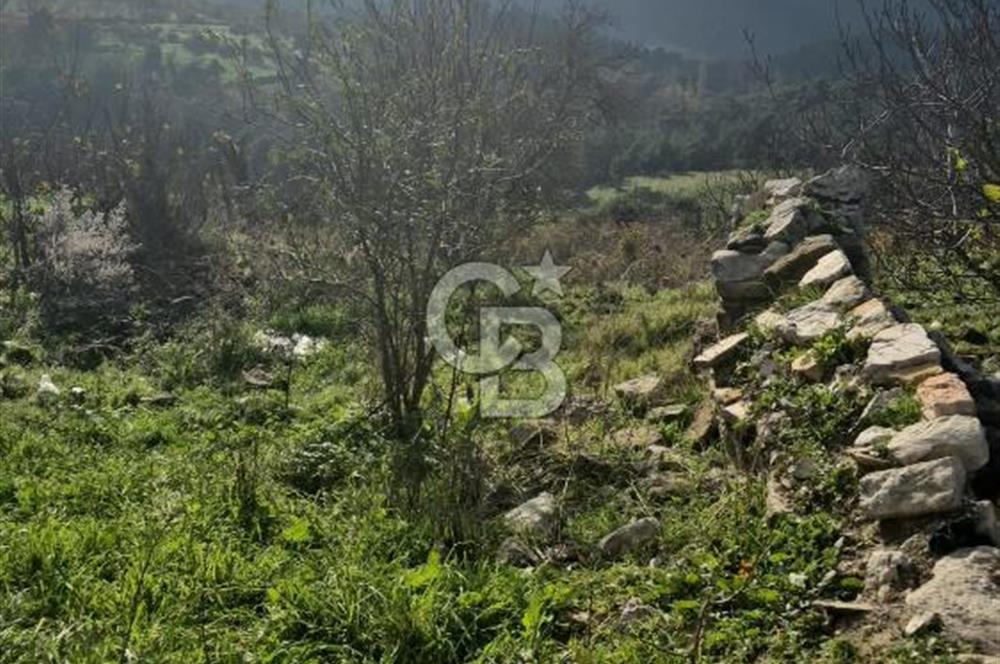 Savaştepe Aşağıdanişment köyiçi arsa