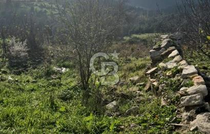 Savaştepe Aşağıdanişment köyiçi arsa