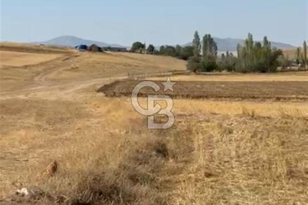 Kütahya Altıntaşta köydibi OSB ye yakın yayırınlık arazi