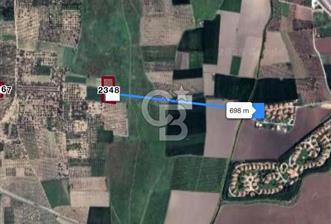 AKHİSAR SÜLEYMANLI DEĞERİ YÜKSEK ZEYTİN BAHÇESİ - 3 - 325860