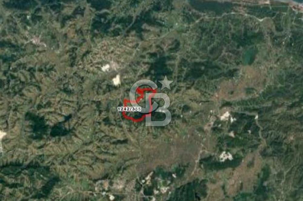 Sakarya Kaynarca Taşoluk'ta 892m2 Satılık TARLA !