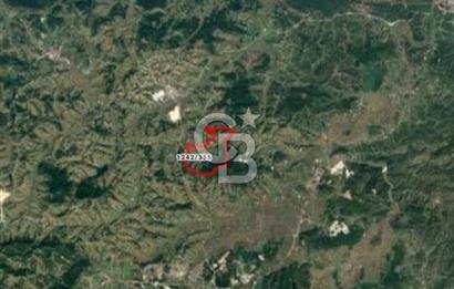 Sakarya Kaynarca Taşoluk'ta 892m2 Satılık TARLA !