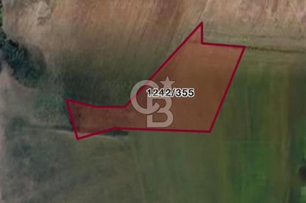 Sakarya Kaynarca Taşoluk'ta 892m2 Satılık TARLA !