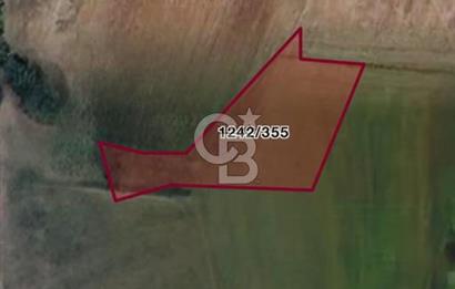 Sakarya Kaynarca Taşoluk'ta 892m2 Satılık TARLA !