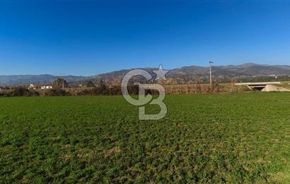 Aydın Kuyucak Horsunluda Otoyola 150 m 10 Adet İmarlı Arsa