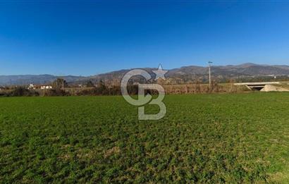 Aydın Kuyucak Horsunluda Otoyola 150 m 10 Adet İmarlı Arsa