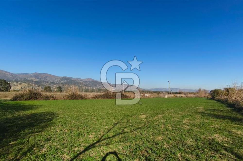 Aydın Kuyucak Horsunluda Otoyola 150 m 10 Adet İmarlı Arsa