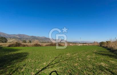 Aydın Kuyucak Horsunluda Otoyola 150 m 10 Adet İmarlı Arsa