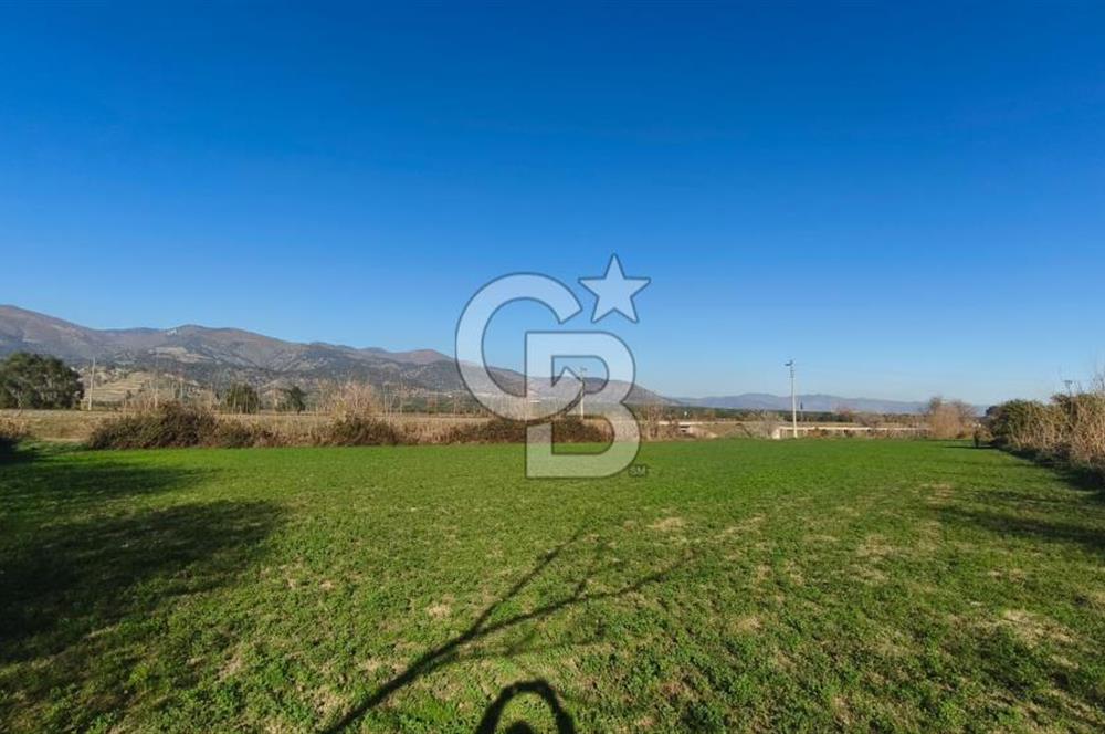 Aydın Kuyucak Horsunluda Otoyola 150 m 10 Adet İmarlı Arsa