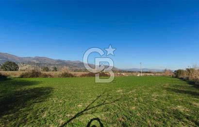 Aydın Kuyucak Horsunluda Otoyola 150 m 10 Adet İmarlı Arsa