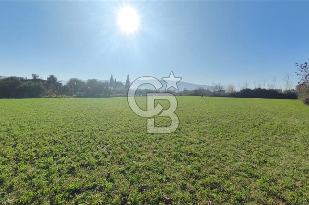 Aydın Kuyucak Horsunluda Otoyola 150 m 10 Adet İmarlı Arsa