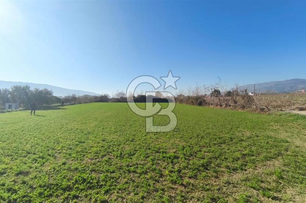 Aydın Kuyucak Horsunluda Otoyola 150 m 10 Adet İmarlı Arsa