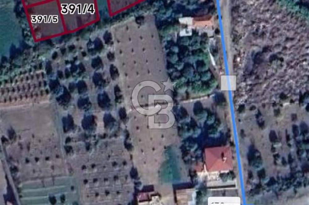 Aydın Kuyucak Horsunluda Otoyola 150 m 10 Adet İmarlı Arsa