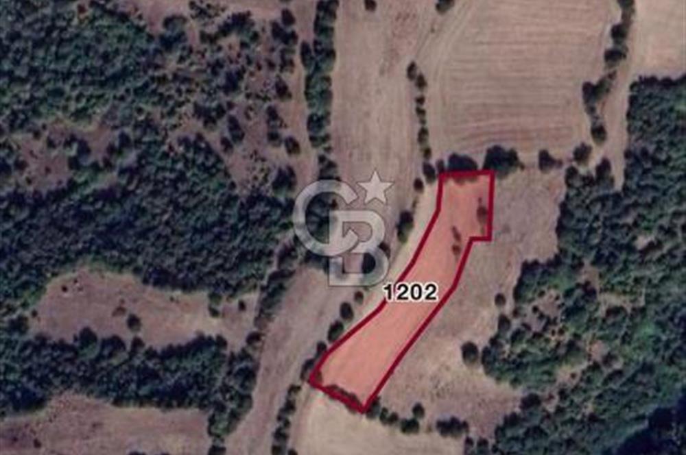 Balıkesir Gönen bayramiçte 4.300m2 Tarla Satılık