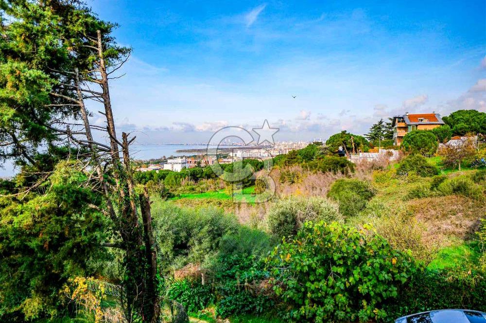 KARTAL DRAGOS'TA 1022 M2 ARSA İÇERİSİNDE SATILIK EMSALSİZ VİLLA