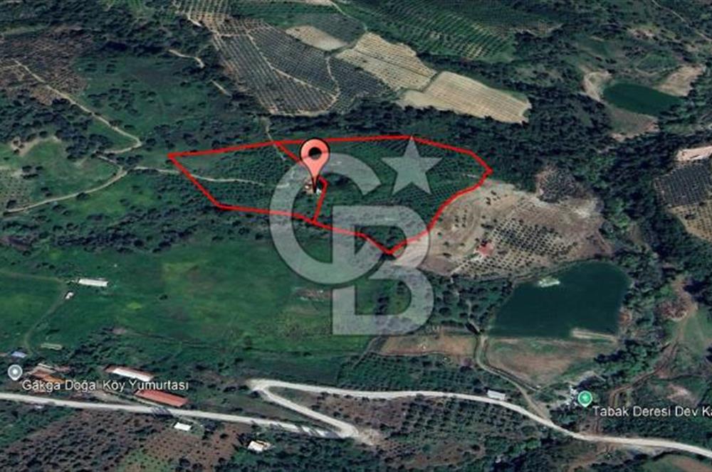 Salihli Çamurhamamında 28070 m² Altın Değerinde Satılık Tarla