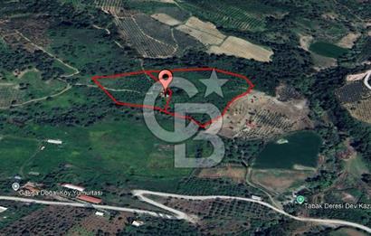 Salihli Çamurhamamında 28070 m² Altın Değerinde Satılık Tarla