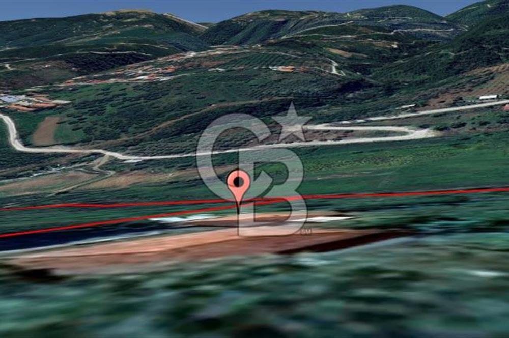 Salihli Çamurhamamında 28070 m² Altın Değerinde Satılık Tarla