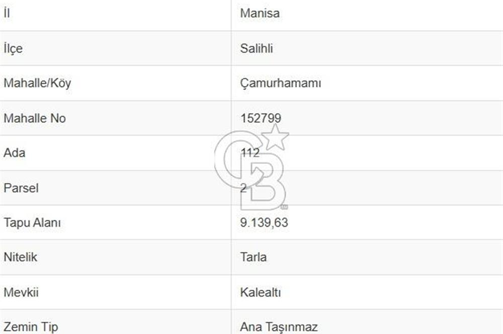 Salihli Çamurhamamında 28070 m² Altın Değerinde Satılık Tarla