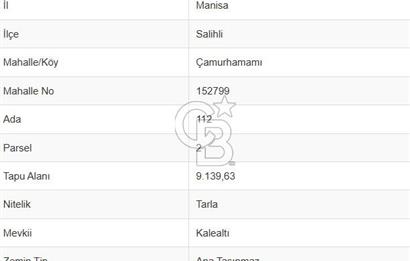 Salihli Çamurhamamında 28070 m² Altın Değerinde Satılık Tarla