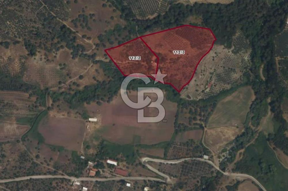 Salihli Çamurhamamında 28070 m² Altın Değerinde Satılık Tarla