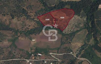 Salihli Çamurhamamında 28070 m² Altın Değerinde Satılık Tarla