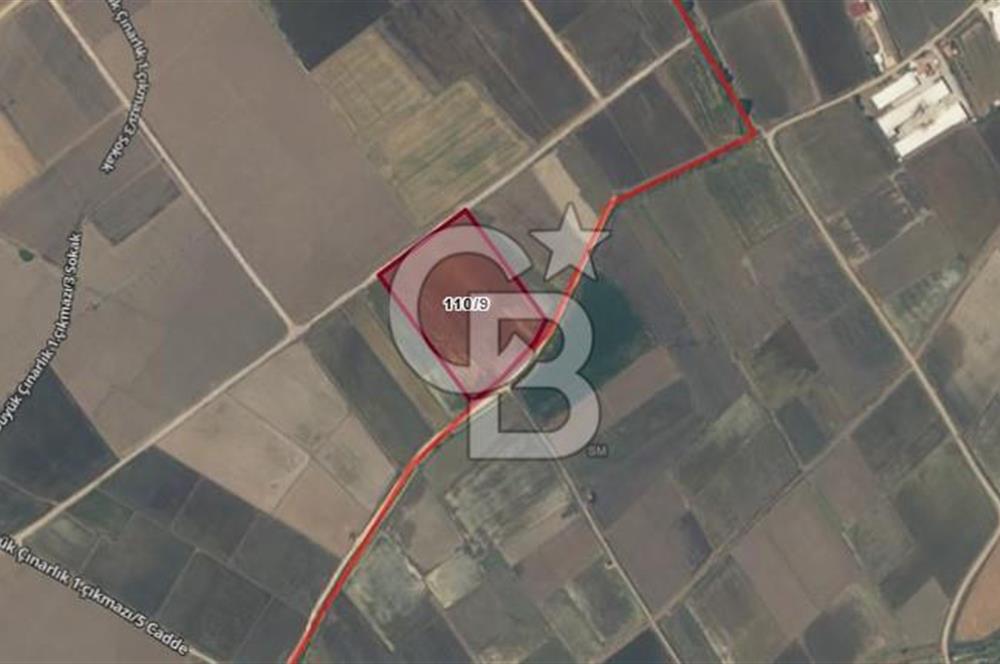 BİGA GÜMÜŞÇAY BELDESİ'NDE SATILIK ÇELTİK TARLASI