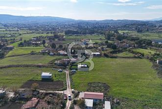 Urla İskele Ağaçlı Yolda Satılık Tarla - 5 - 325926