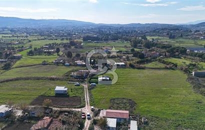 Urla İskele Ağaçlı Yolda Satılık Tarla