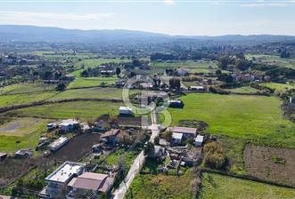 Urla İskele Ağaçlı Yolda Satılık Tarla - 4 - 325930