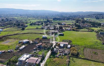 Urla İskele Ağaçlı Yolda Satılık Tarla