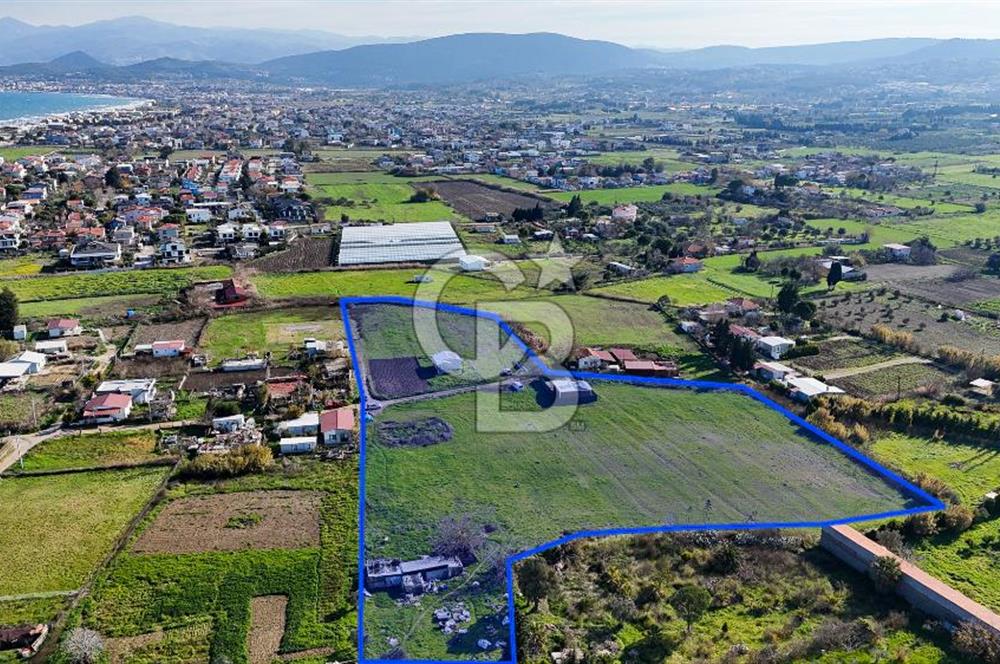 Urla İskele Ağaçlı Yolda Satılık Tarla