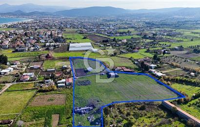 Urla İskele Ağaçlı Yolda Satılık Tarla