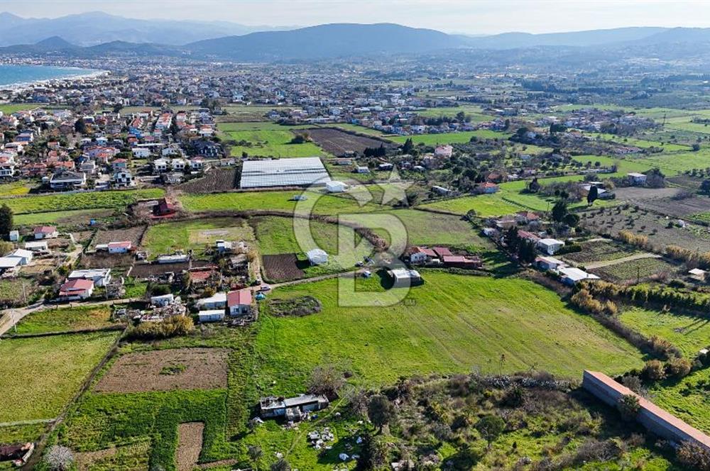 Urla İskele Ağaçlı Yolda Satılık Tarla