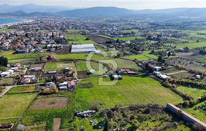 Urla İskele Ağaçlı Yolda Satılık Tarla