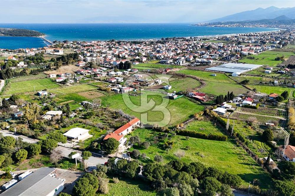 Urla İskele Ağaçlı Yolda Satılık Tarla