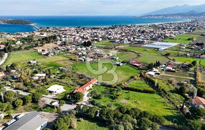 Urla İskele Ağaçlı Yolda Satılık Tarla