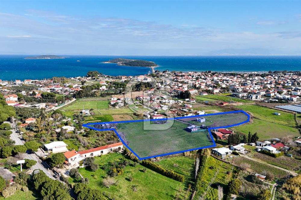 Urla İskele Ağaçlı Yolda Satılık Tarla