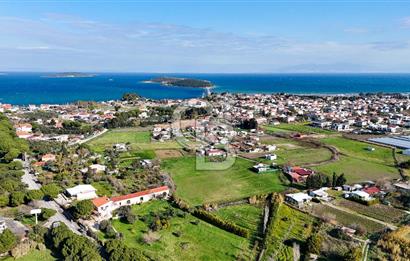 Urla İskele Ağaçlı Yolda Satılık Tarla