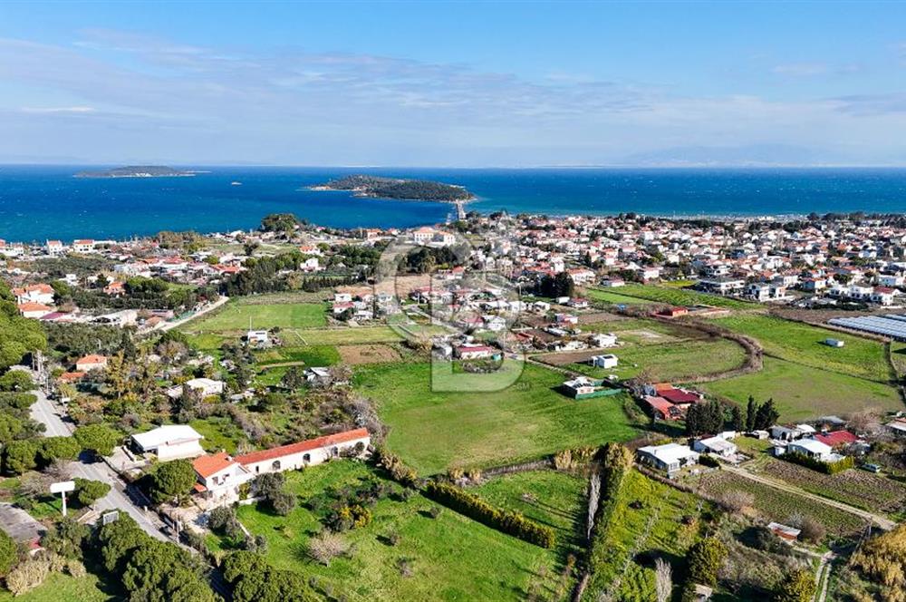 Urla İskele Ağaçlı Yolda Satılık Tarla