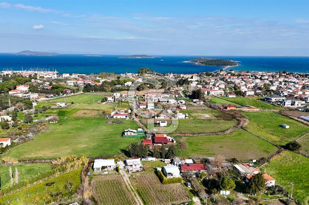 Urla İskele Ağaçlı Yolda Satılık Tarla