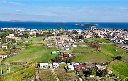 Urla İskele Ağaçlı Yolda Satılık Tarla