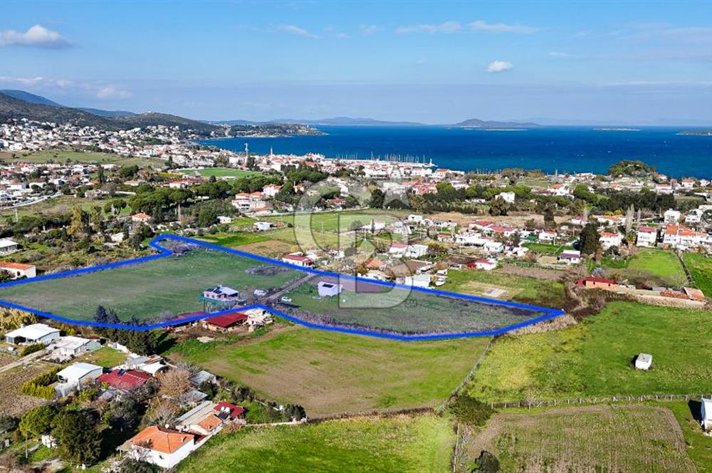 Urla İskele Ağaçlı Yolda Satılık Tarla
