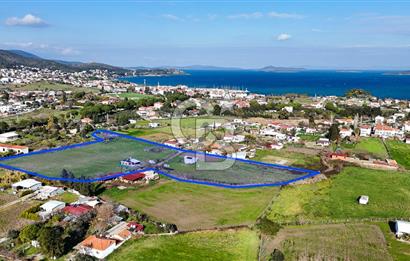 Urla İskele Ağaçlı Yolda Satılık Tarla