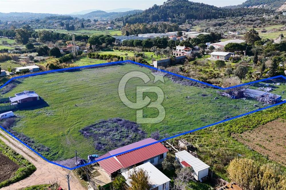 Urla İskele Ağaçlı Yolda Satılık Tarla