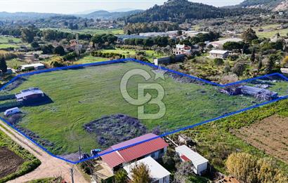 Urla İskele Ağaçlı Yolda Satılık Tarla