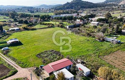 Urla İskele Ağaçlı Yolda Satılık Tarla